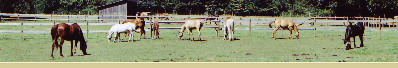 Takala Trails Ranch
